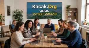Ordu Sohbet Odaları Kacak.Org