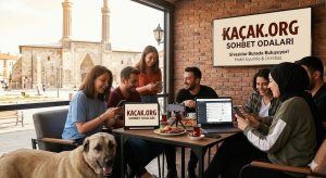 Sivas Sohbet Odaları Kacak.Org